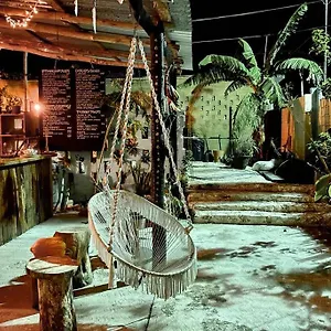 Jungla , Bacalar Mexico